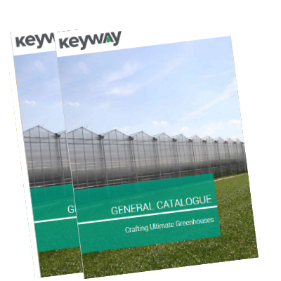 Keyway Genel Katalog PDF ( 5MB )