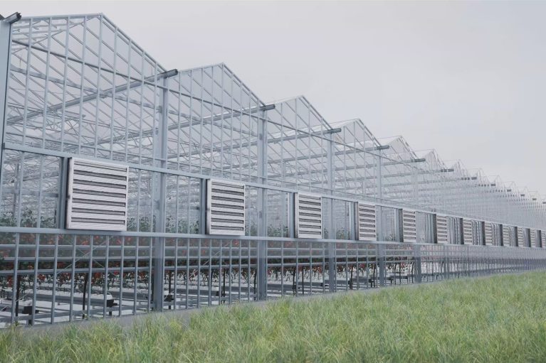 Steel Structure